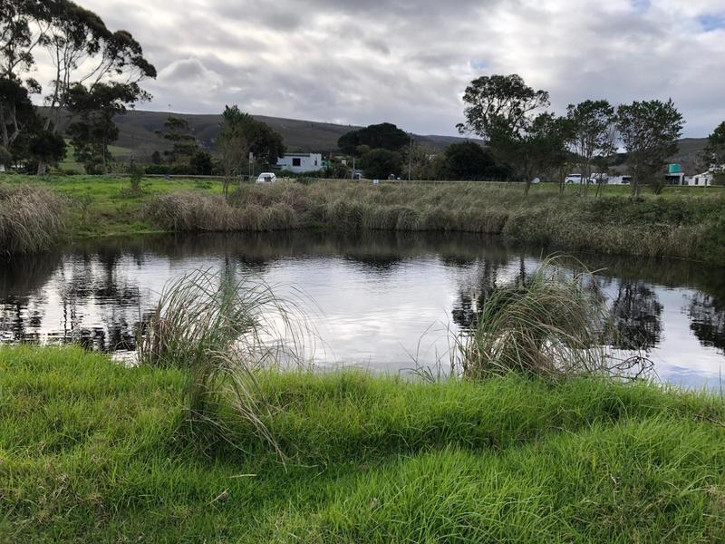 0 Bedroom Property for Sale in Baardskeerdersbos Western Cape